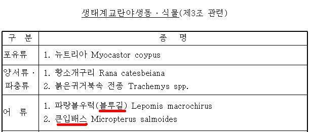 환경부 지정 생테계 교란어종은 (월척지식 - 기타지식)