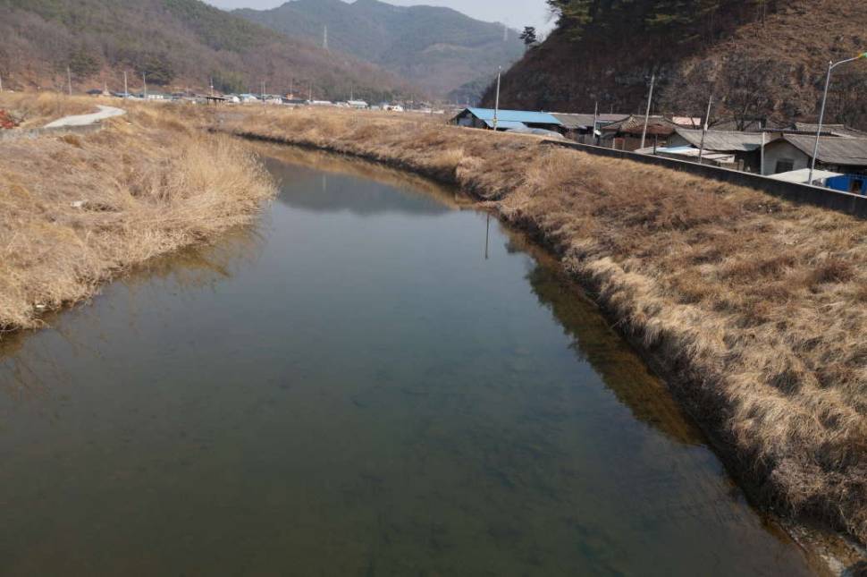수로 고기들 어디로 갔을까요 (월척지식 - 기타지식)