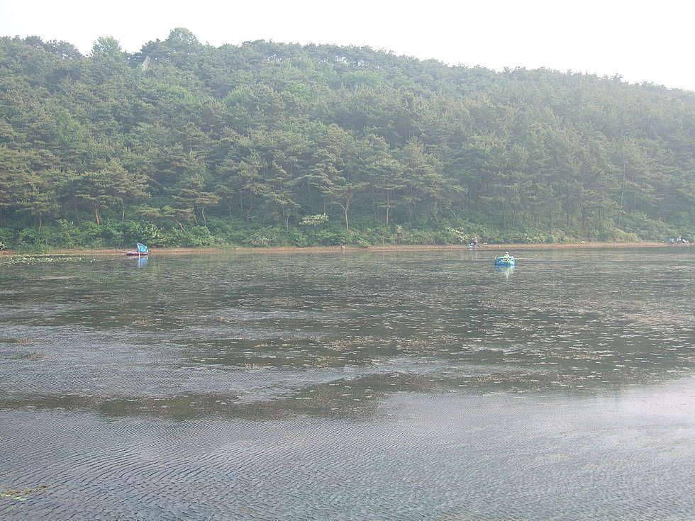 이곳이 대물터 라면 (월척지식 - 기타지식)