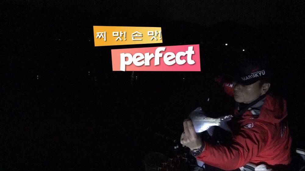 안골낚시터 떼붕어 (유료터정보 - 유료터조행기)