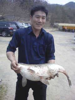 감문 낚시터 개장날 (유료터정보 - 유료터조행기)