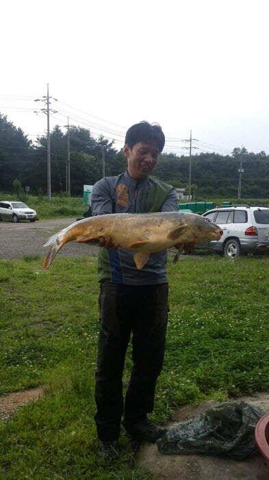 또 다시 찾아간 경주동산낚시터 (유료터정보 - 유료터조행기)