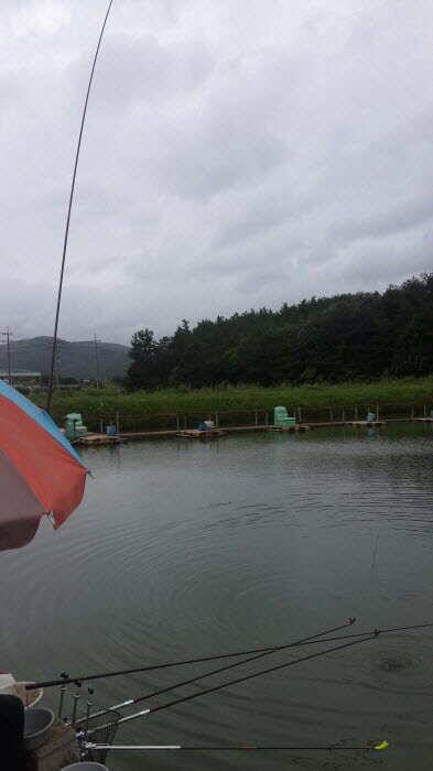 또 다시 찾아간 경주동산낚시터 (유료터정보 - 유료터조행기)