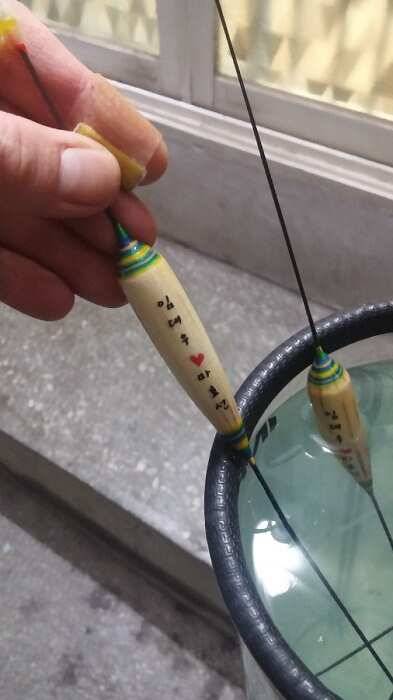 경기도 진접에 솟골낚시터 조행기 (유료터정보 - 유료터조행기)