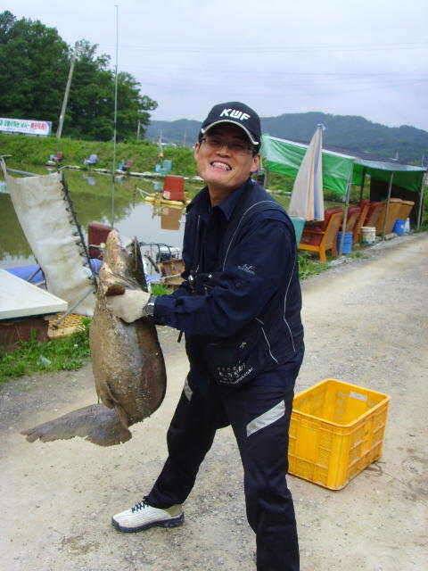 감문낚시터에서 괴물만나다 (유료터정보 - 유료터조행기)