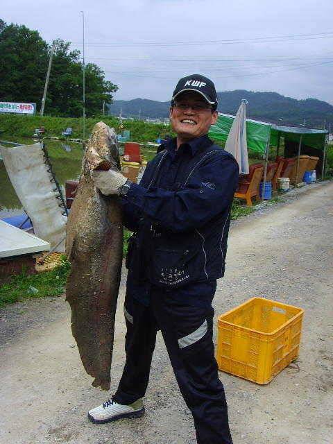 감문낚시터에서 괴물만나다 (유료터정보 - 유료터조행기)
