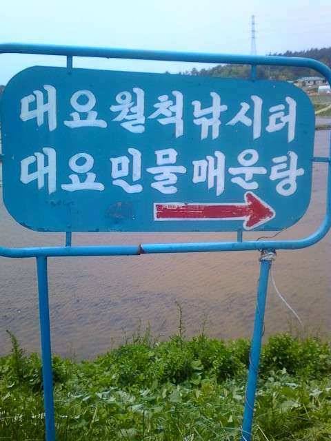 체면치레 가족과 함께 하는 낚시 (유료터정보 - 유료터조행기)