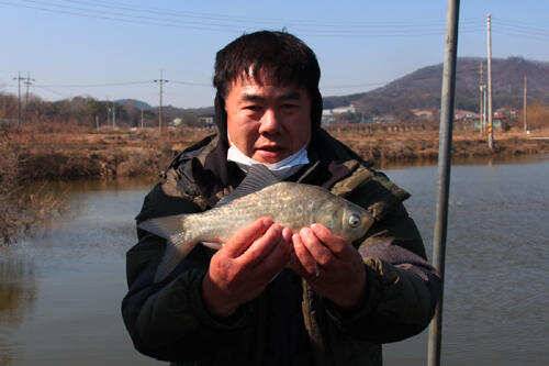 驚蟄 만정낚시터 (유료터정보 - 유료터조행기)