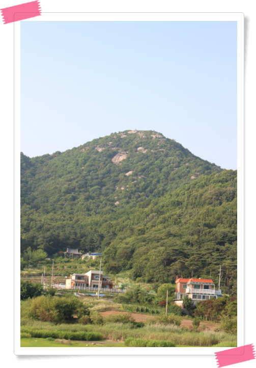 7월4일 책상속일기 (유료터정보 - 유료터조행기)