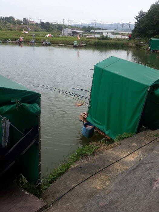 동산낚시터를 다녀왔습니다 (유료터정보 - 유료터조행기)