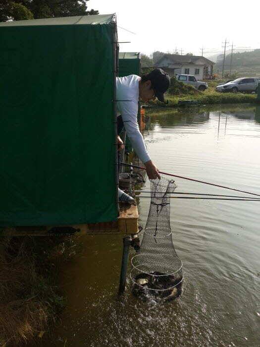동산낚시터를 다녀왔습니다 (유료터정보 - 유료터조행기)
