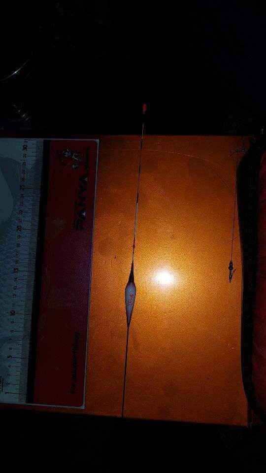 정자골낚시터 출조 (유료터정보 - 유료터조행기)