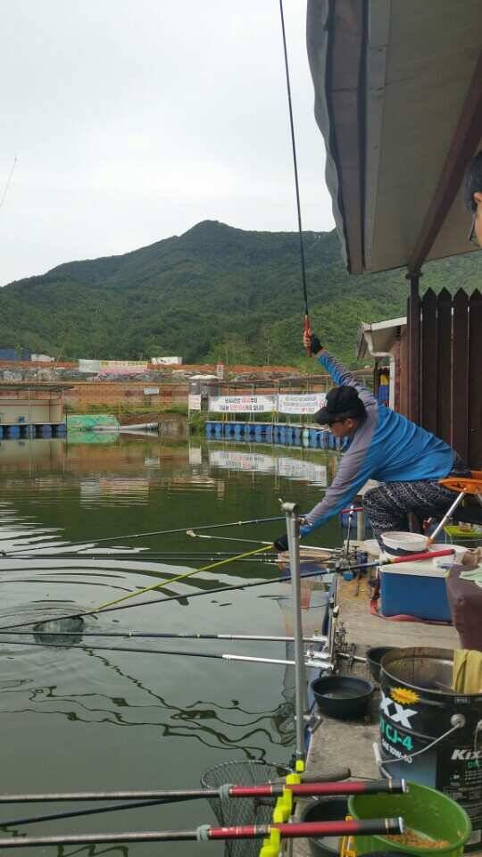 그럼에도 불구하고 ㅡ 2탄 (유료터정보 - 유료터조행기)