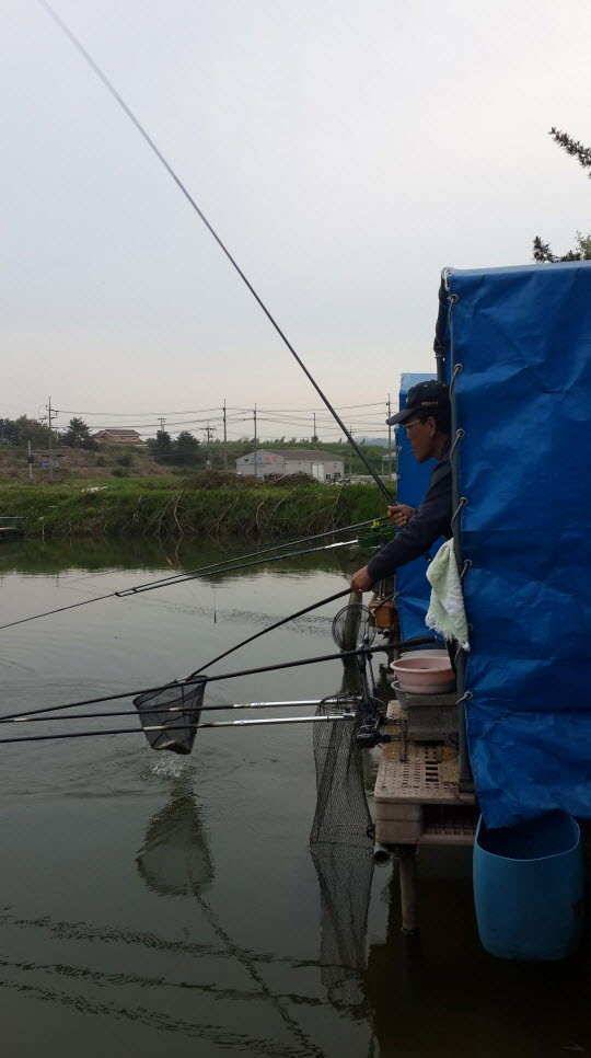 지인들과 함께 경주동산낚시터 (유료터정보 - 유료터조행기)