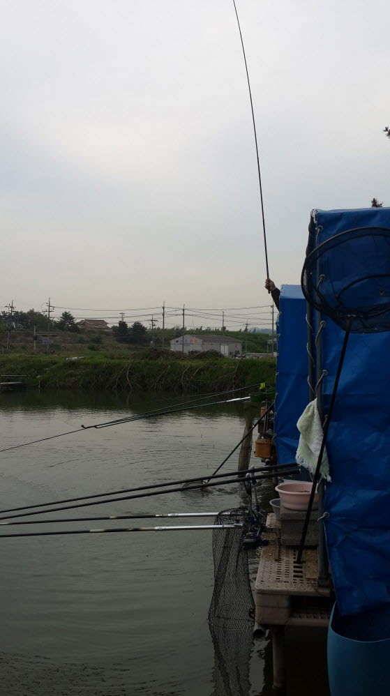 지인들과 함께 경주동산낚시터 (유료터정보 - 유료터조행기)