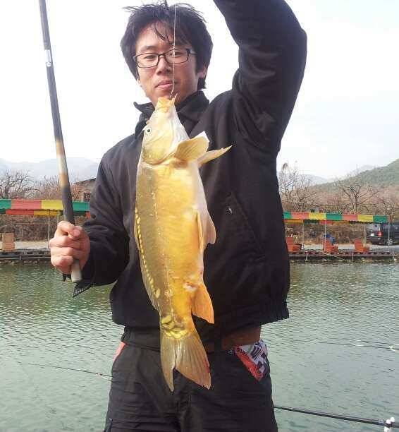 청도 매전 낚시터 2번째 조황 사진 올려 봅니다 (유료터정보 - 유료터조행기)