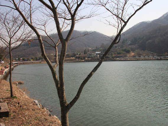 진우낚시터 봄과함께 붕어 (유료터정보 - 유료터조행기)