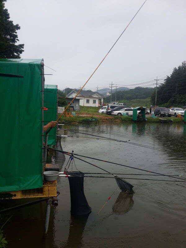 주말농장과 낚시터 (유료터정보 - 유료터조행기)