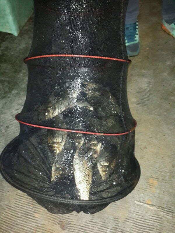 주말농장과 낚시터 (유료터정보 - 유료터조행기)