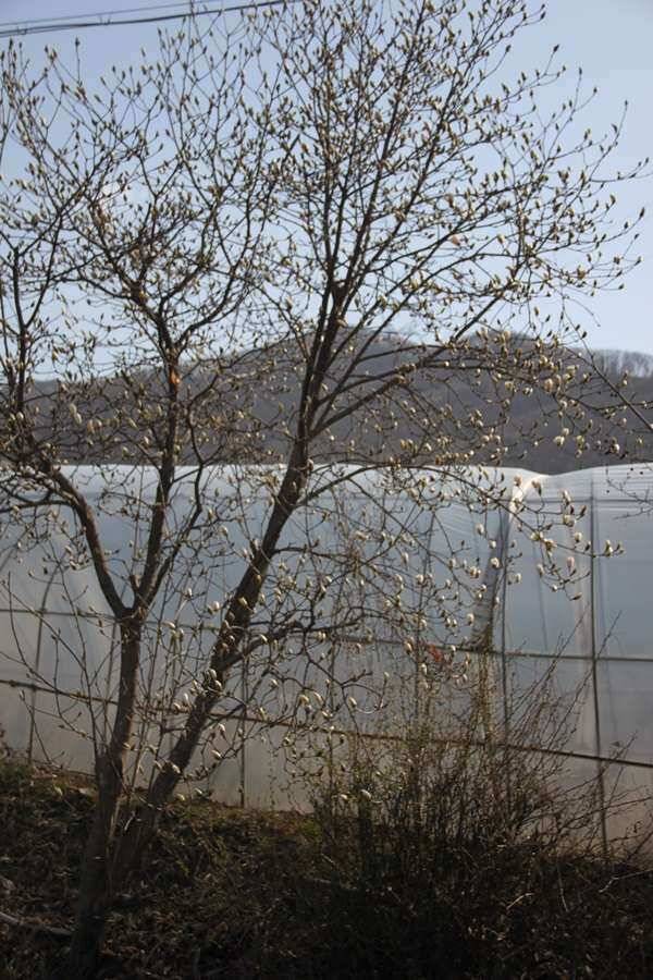 진우지 메기 (유료터정보 - 유료터조행기)
