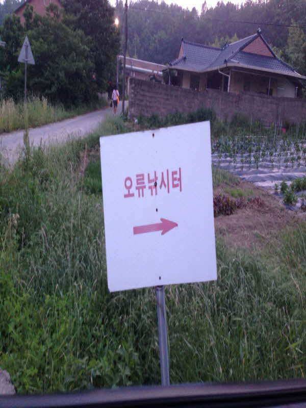 붕어의 당찬 손맛을 주는 경주 오류 낚시터 조행기 (유료터정보 - 유료터조행기)