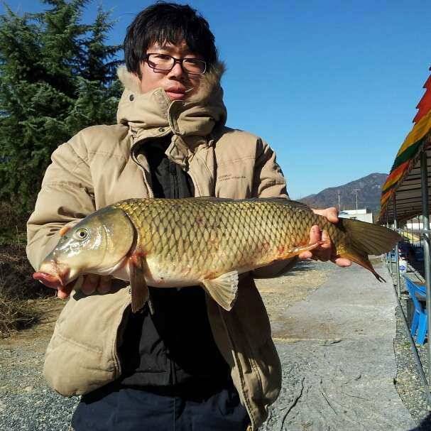 청도 매전 낚시터 다녀와서 (유료터정보 - 유료터조행기)