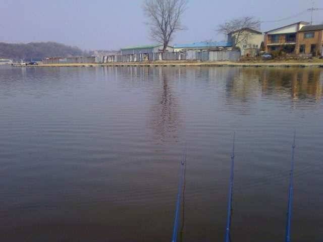2011년 2번째 시흥 도창금이지 출조 (유료터정보 - 유료터조행기)