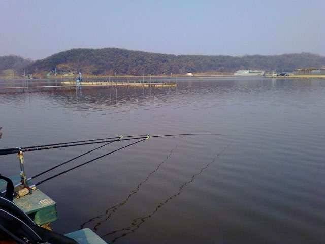 2011년 2번째 시흥 도창금이지 출조 (유료터정보 - 유료터조행기)