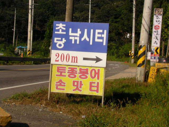 등잔밑이 어둡다 초당낚시터 (유료터정보 - 유료터조행기)