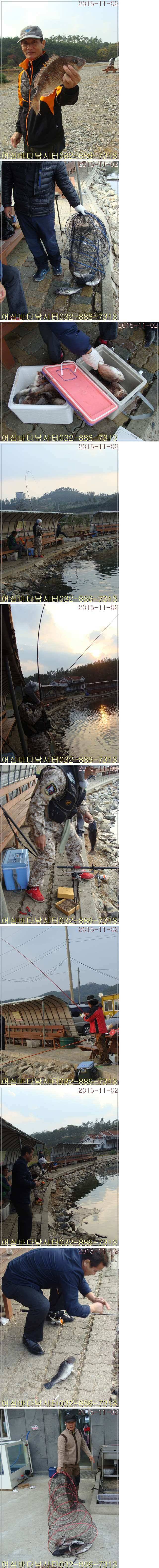 11월 2일 어심바다낚시터 조황사진 낚시하기 좋은 월요일 (유료터정보 - 유료터조행기)