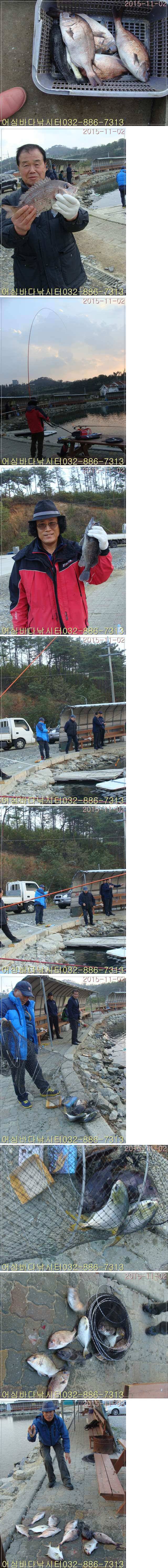 11월 2일 어심바다낚시터 조황사진 낚시하기 좋은 월요일 (유료터정보 - 유료터조행기)