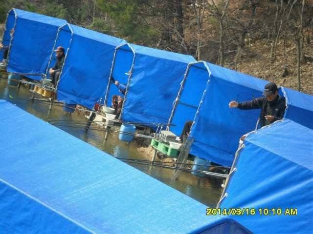 경주 동산낚시터 개장 (유료터정보 - 유료터조행기)