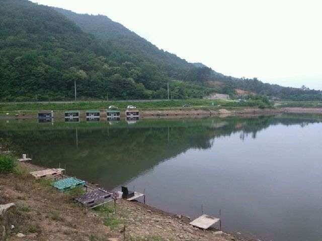 충북 음성 봉낚시터를 오랫만에 갔습니다 (유료터정보 - 유료터조행기)