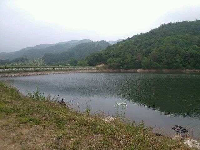 충북 음성 봉낚시터를 오랫만에 갔습니다 (유료터정보 - 유료터조행기)