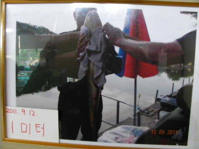 화끈한 손맛이 그리울 때 (유료터정보 - 유료터조행기)