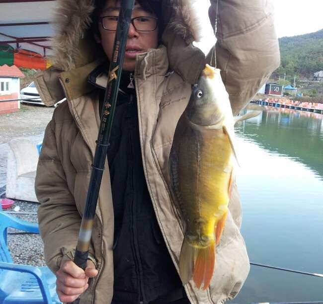 청도 매전 낚시터 다녀와서 (유료터정보 - 유료터조행기)