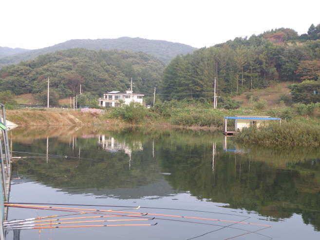 안성두메지를 다녀왔읍니다 (유료터정보 - 유료터조행기)