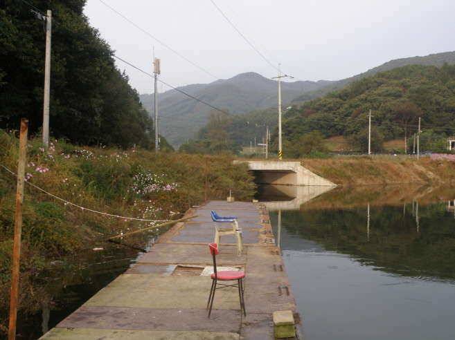 안성두메지를 다녀왔읍니다 (유료터정보 - 유료터조행기)