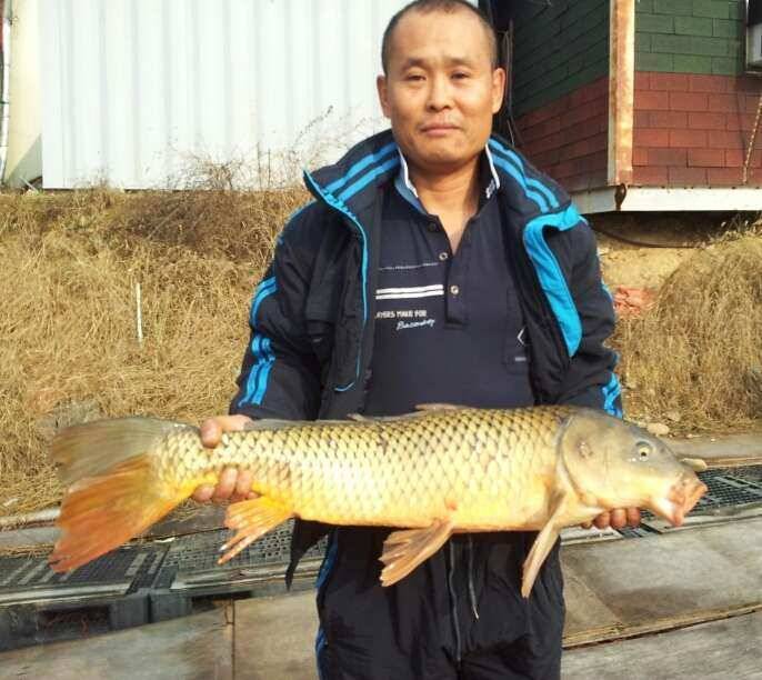 청도 매전 낚시터 2번째 조황 사진 올려 봅니다 (유료터정보 - 유료터조행기)