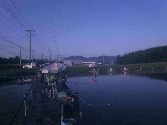 경주동산낚시터 후기 (유료터정보 - 유료터조행기)