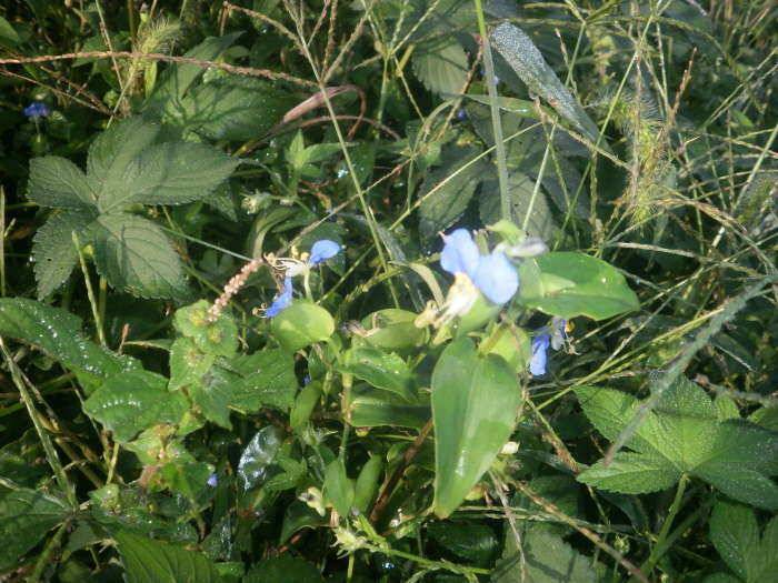 경주동산낚시터 후기 (유료터정보 - 유료터조행기)