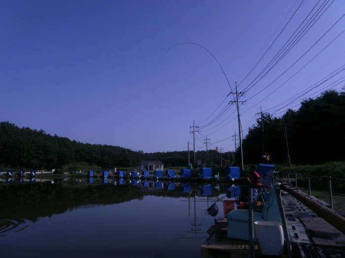경주동산낚시터 후기 (유료터정보 - 유료터조행기)