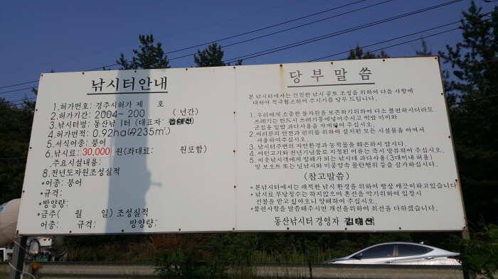 경주 동산낚시터 조행기 (유료터정보 - 유료터조행기)
