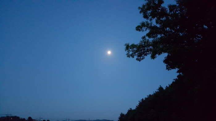 경주 동산낚시터 조행기 (유료터정보 - 유료터조행기)