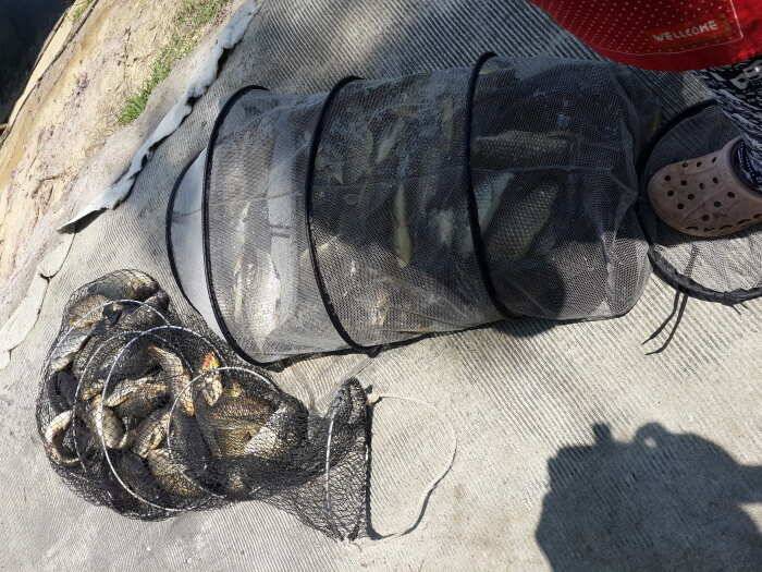 동산낚시터를 다녀왔습니다 (유료터정보 - 유료터조행기)