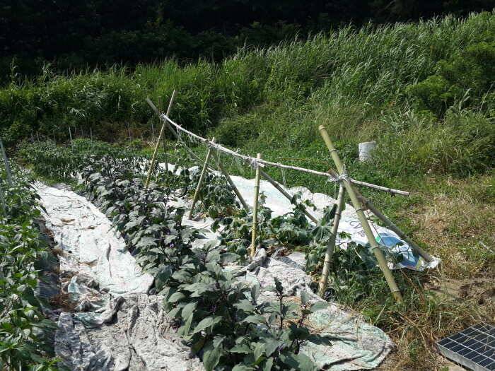 동산낚시터를 다녀왔습니다 (유료터정보 - 유료터조행기)