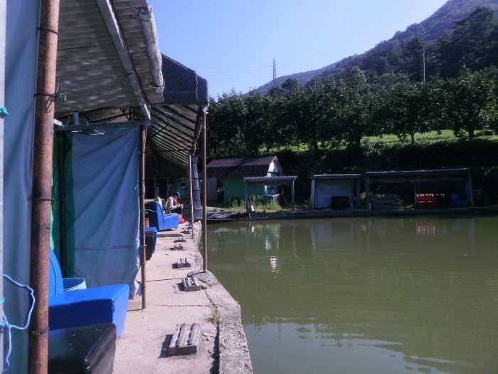 경산 두메낚시터 젭할 좀 도와 주세요 ㅠㅠ (유료터정보 - 유료터조행기)