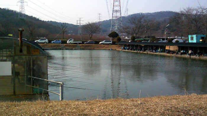 봄날 같았던 봉림낚시터 (유료터정보 - 유료터조행기)