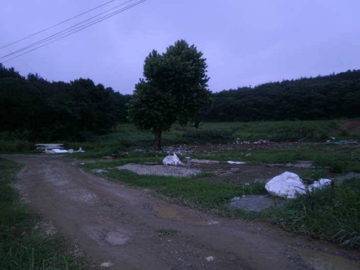 경주오류낚시터미끼와 집어제 뭘 쓰셨을까 (유료터정보 - 유료터조행기)
