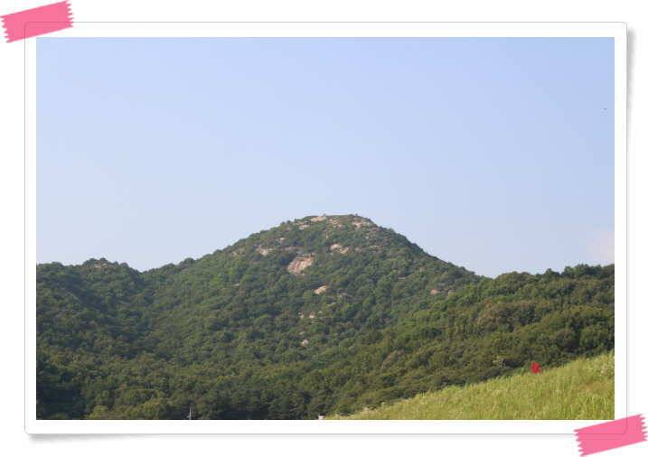 7월4일 책상속일기 (유료터정보 - 유료터조행기)